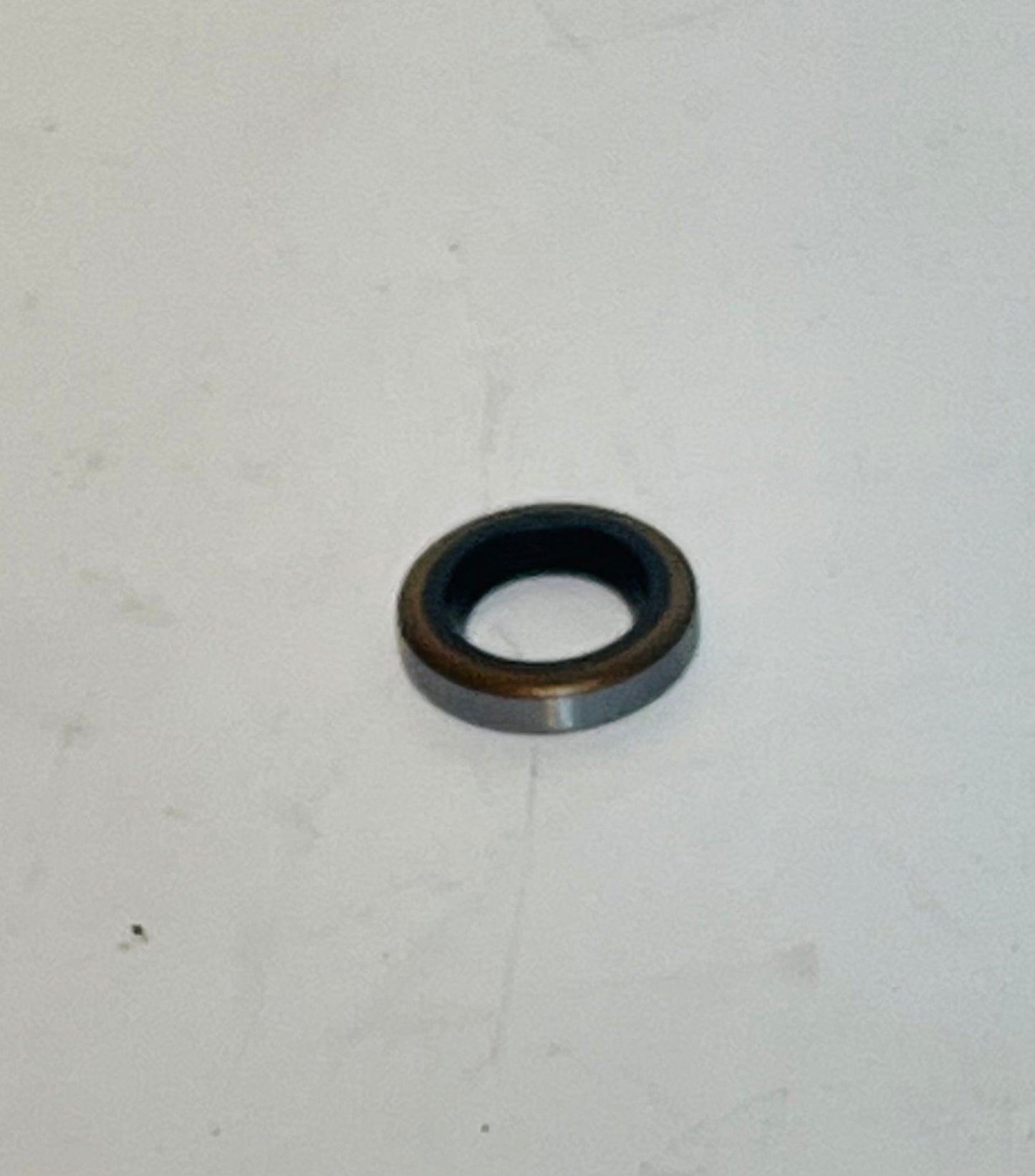 Speedo Drive Oil Seal