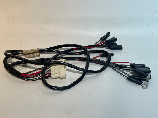 Rialto SE Rear Light Wiring Harness