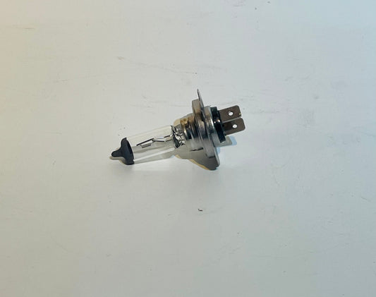 H7 Bulb